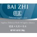 Bai Zhi - 白芷